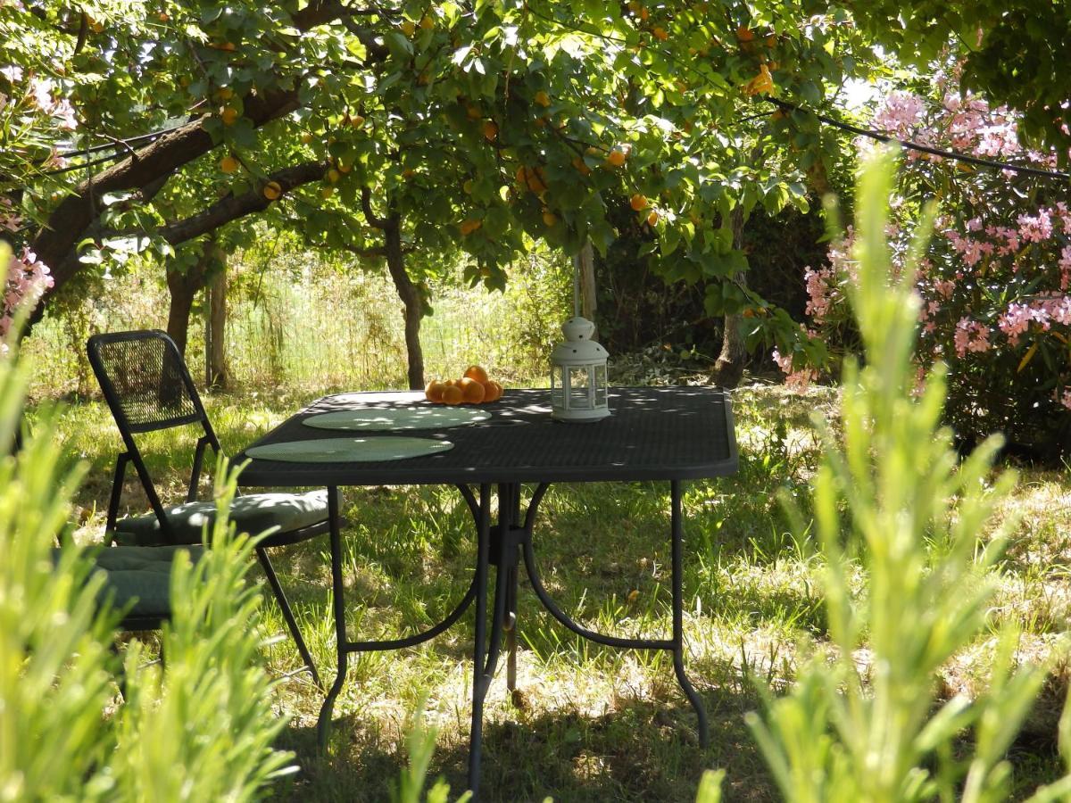 Casa Marju ξενώνας Montemassi Εξωτερικό φωτογραφία