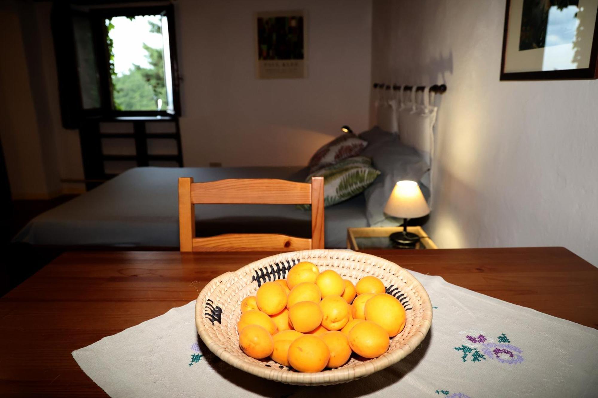 Casa Marju ξενώνας Montemassi Εξωτερικό φωτογραφία