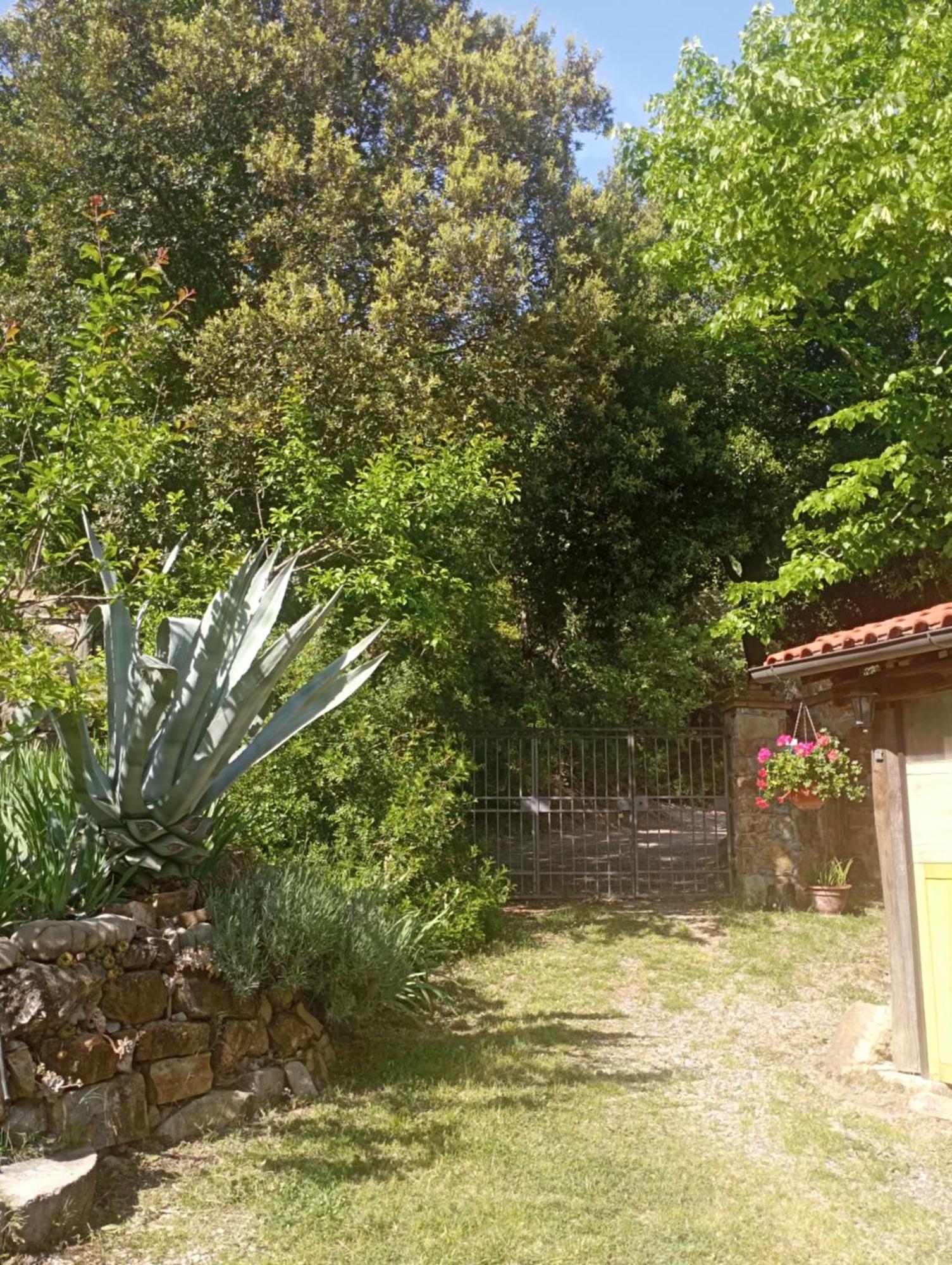 Casa Marju ξενώνας Montemassi Εξωτερικό φωτογραφία
