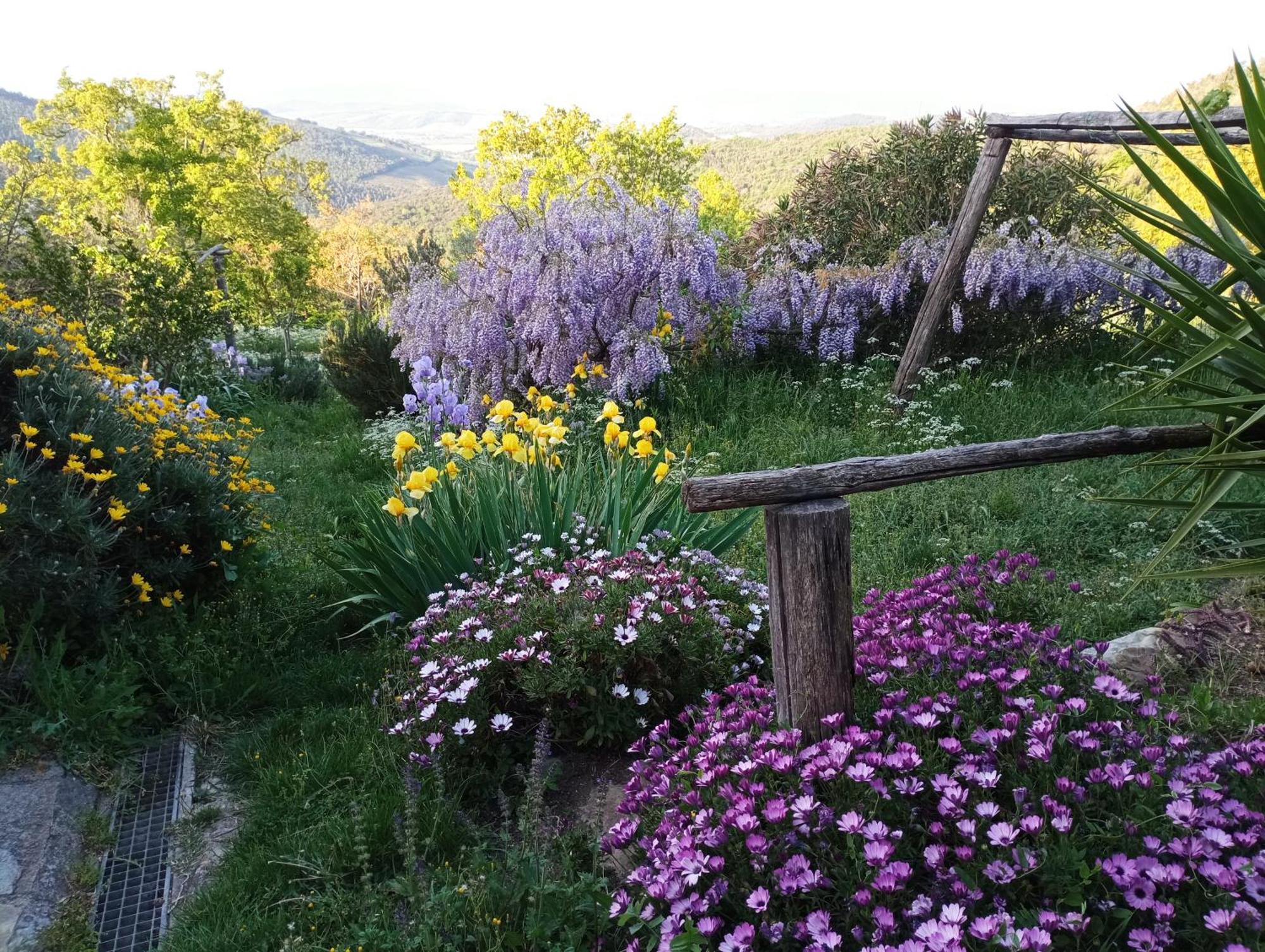 Casa Marju ξενώνας Montemassi Εξωτερικό φωτογραφία